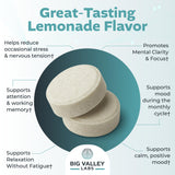 Big Valley Labs L-Theanine chewable tablet in hand