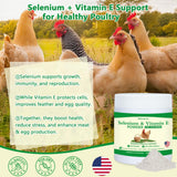 BiKontrun Vitamin E & Selenium Powder in a feeding bowl