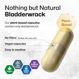 BIO KRAUTER Bladderwrack Capsules with measuring guide
