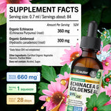 BIO KRAUTER Echinacea Goldenseal Liquid Drops in a glass of water