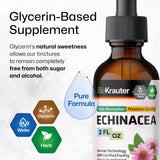 BIO KRAUTER Echinacea Tincture 2 fl oz bottle in kitchen setting