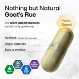 BIO KRAUTER Goat's Rue Lactation Supplement with natural herbal background