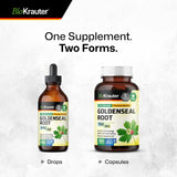 BIO KRAUTER Goldenseal Root Capsules 700mg with herbal background
