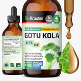 BIO KRAUTER Gotu Kola Brain Support Supplement 4 fl oz front view
