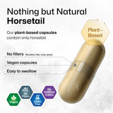 BIO KRAUTER Horsetail Extract Silica Capsules close-up of capsules