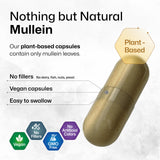 BIO KRAUTER Mullein Capsules 1200mg ingredients list