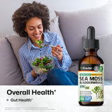 BIO KRAUTER Sea Moss Drops 141g bottle with dropper