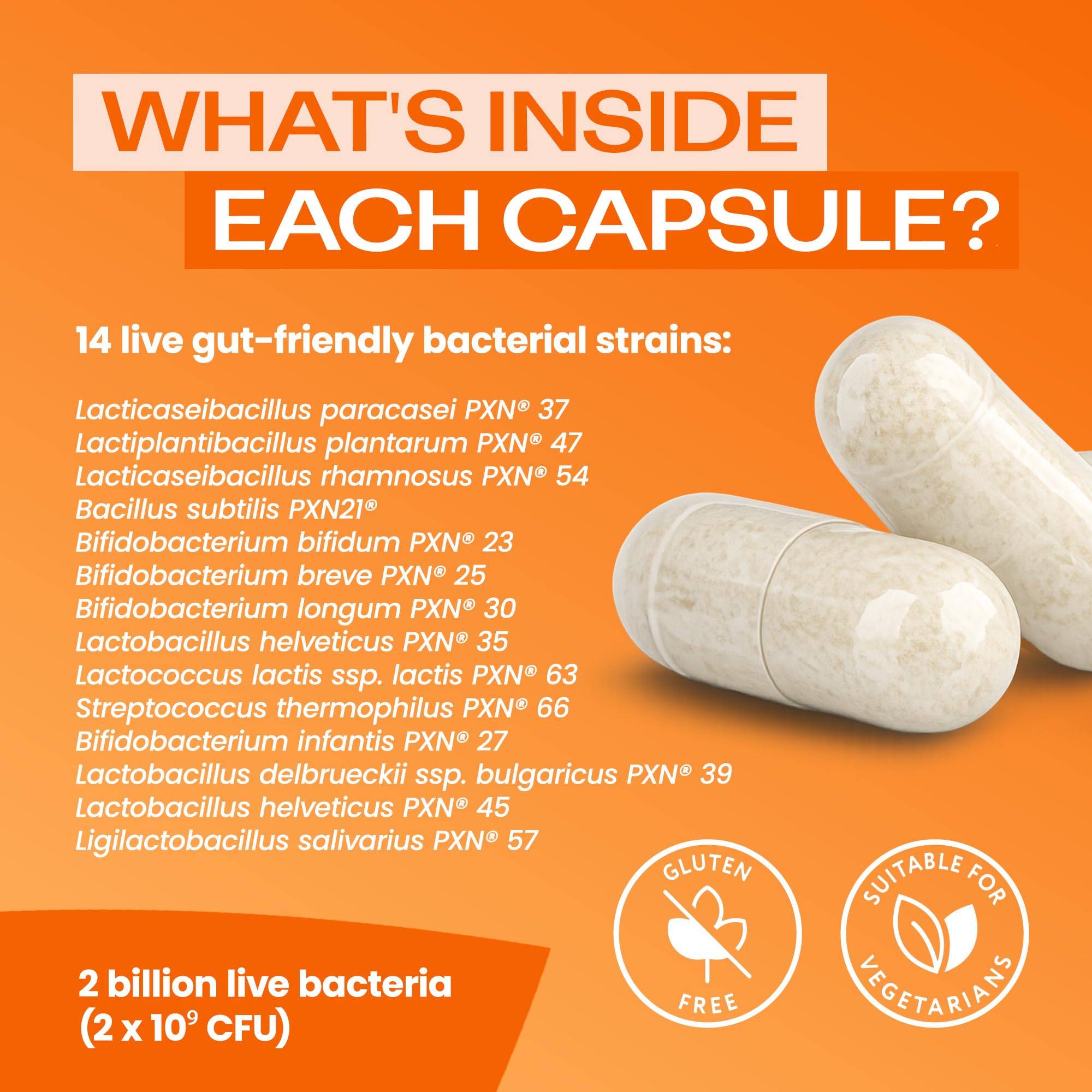 Bio-Kult Everyday Probiotics capsules on a table