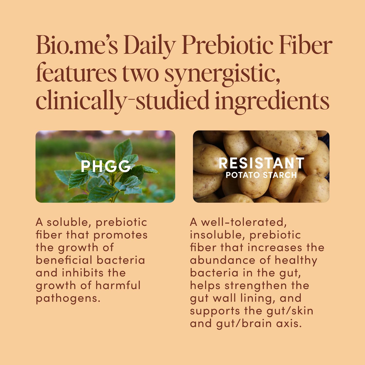 Bio.me Daily Prebiotic Fiber Powder mixed in smoothie