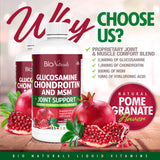 Bio Naturals Glucosamine Chondroitin Supplement liquid ingredients list