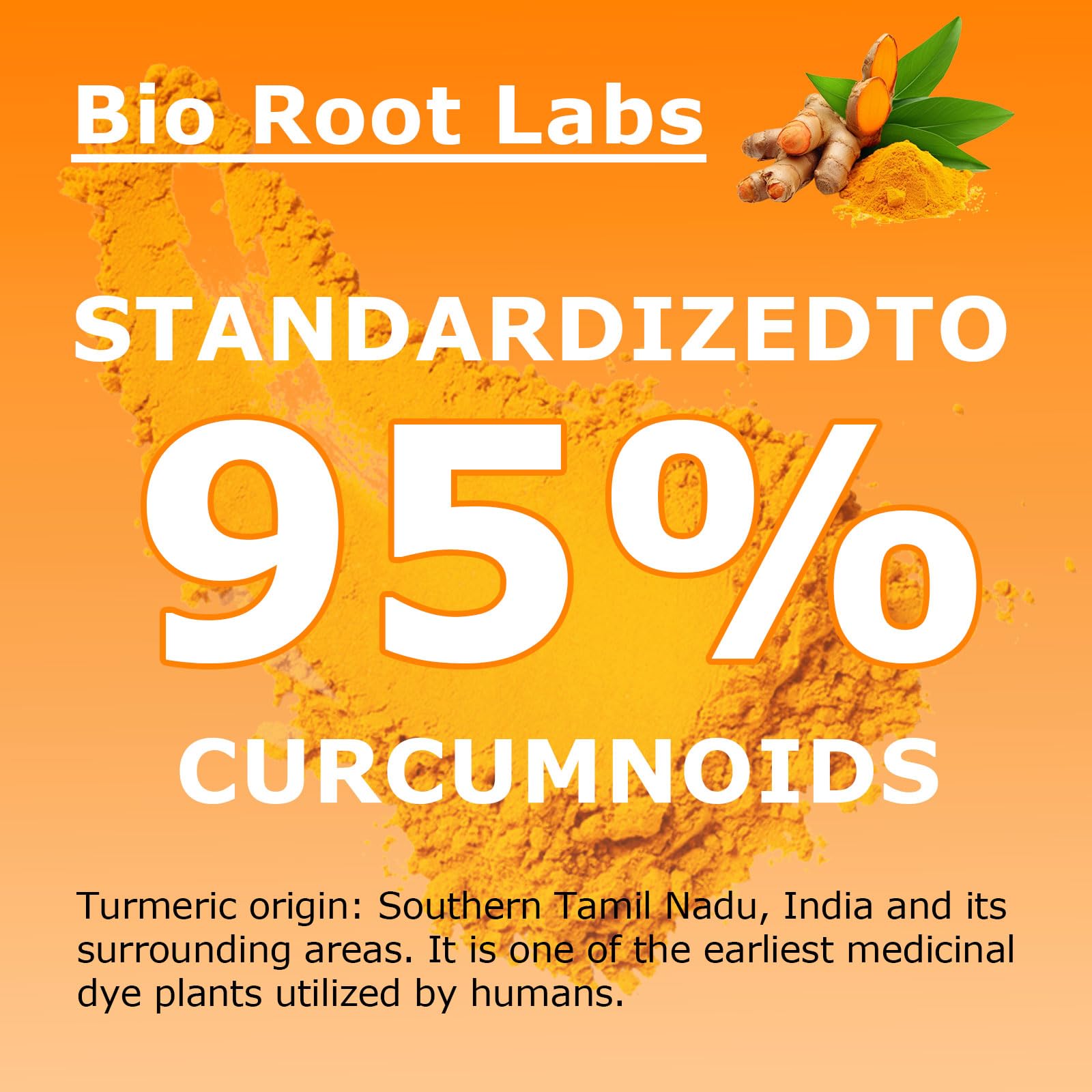 Bio Root Labs Turmeric Curcumin Supplement capsule close-up