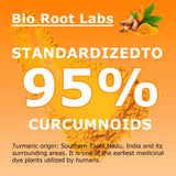 Bio Root Labs Turmeric Curcumin Supplement capsule close-up