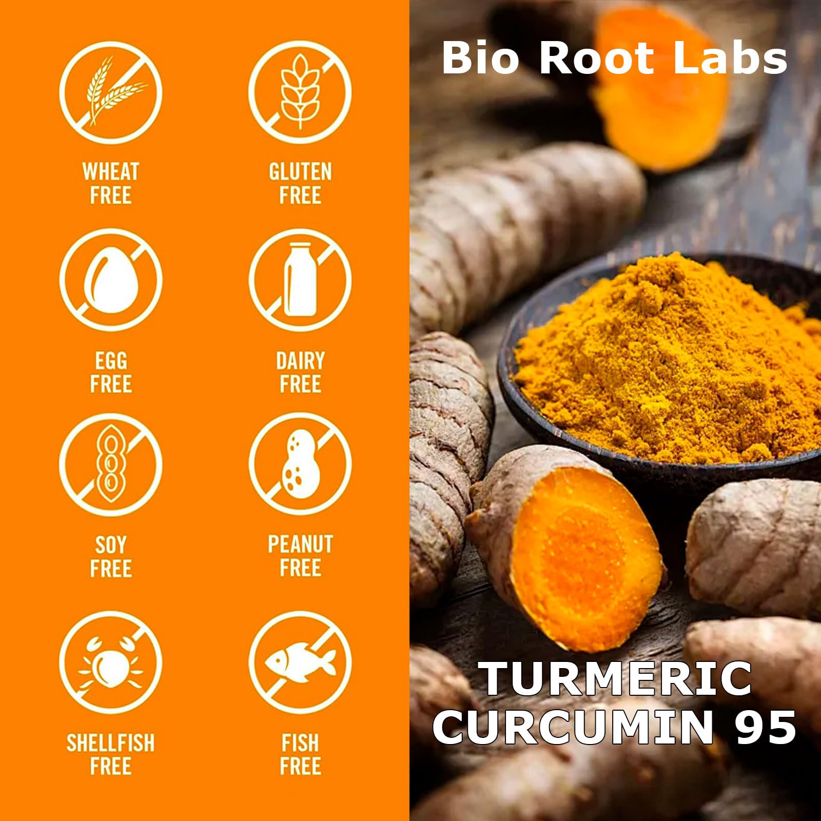 Bio Root Labs Turmeric Curcumin Supplement ingredients list