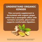 Bio Root Labs Turmeric Curcumin Supplement on a wooden table
