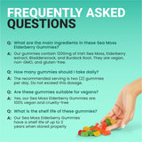 BIO VITALICA Sea Moss & Elderberry Gummies lifestyle scene