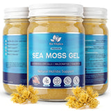 BIO VITALICA Sea Moss Gel 340g front view with packaging