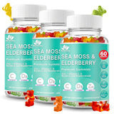 BIO VITALICA Sea Moss Gummies front view packaging
