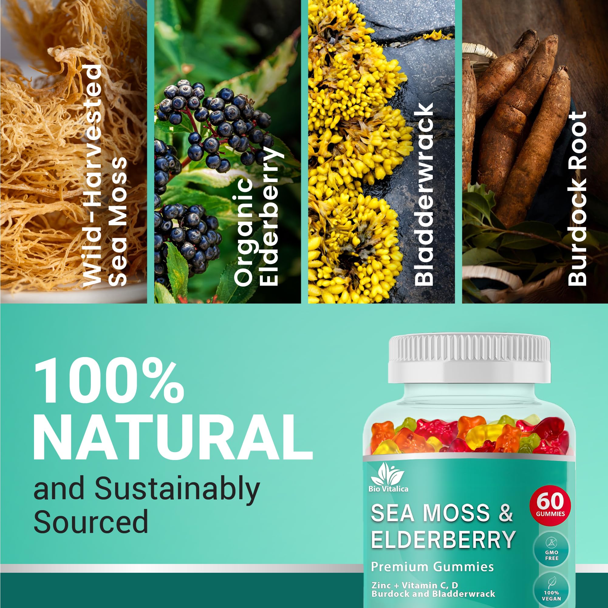 BIO VITALICA Sea Moss Gummies nutritional information