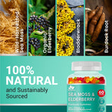 BIO VITALICA Sea Moss Gummies nutritional information