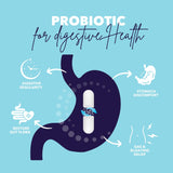 Bio360 Probiotic Capsules packaging with dimensions