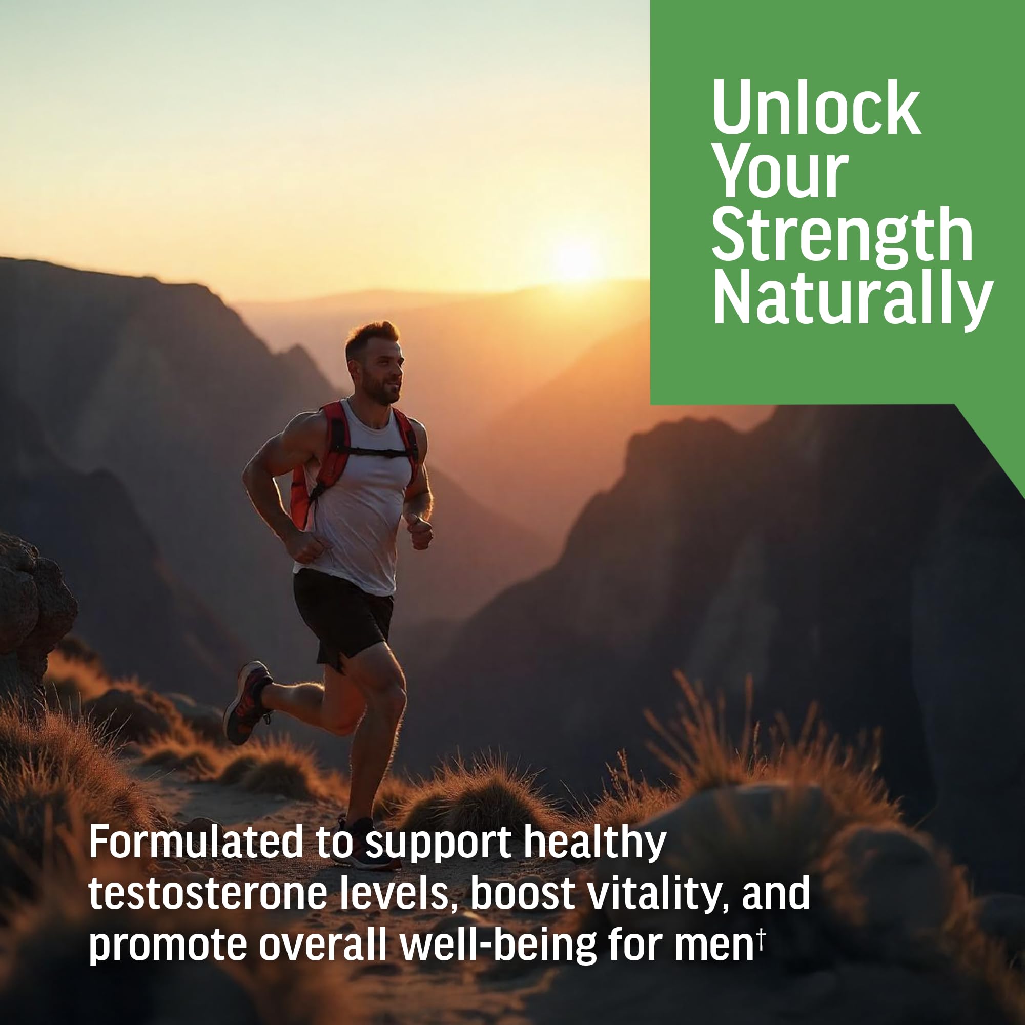 BIOACTIVE Ashwagandha Supplement 500mg in lifestyle setting