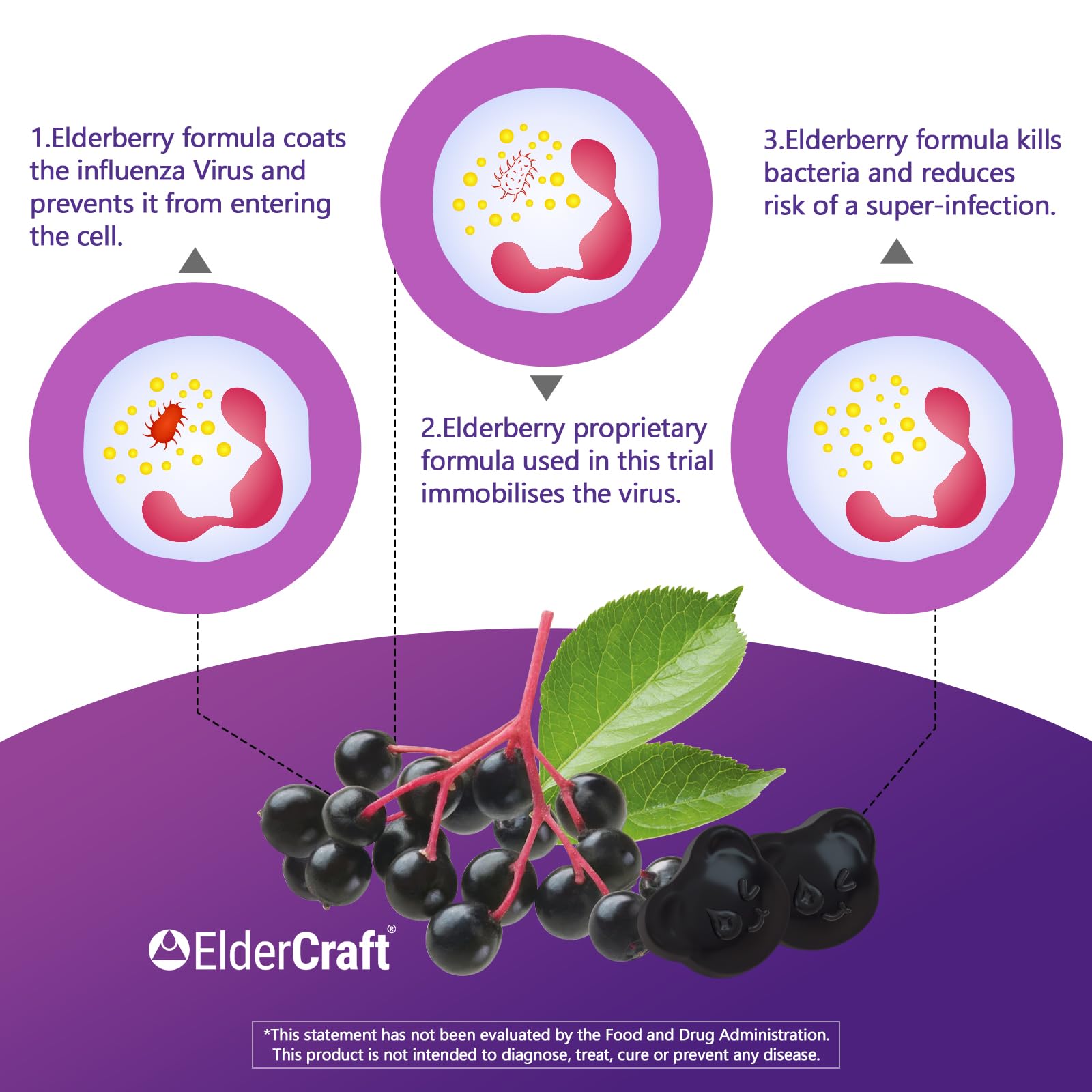 Biobor Elderberry Gummies in a bowl with mixed berries