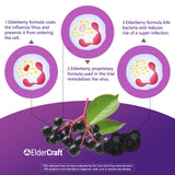 Biobor Elderberry Gummies in a bowl with mixed berries