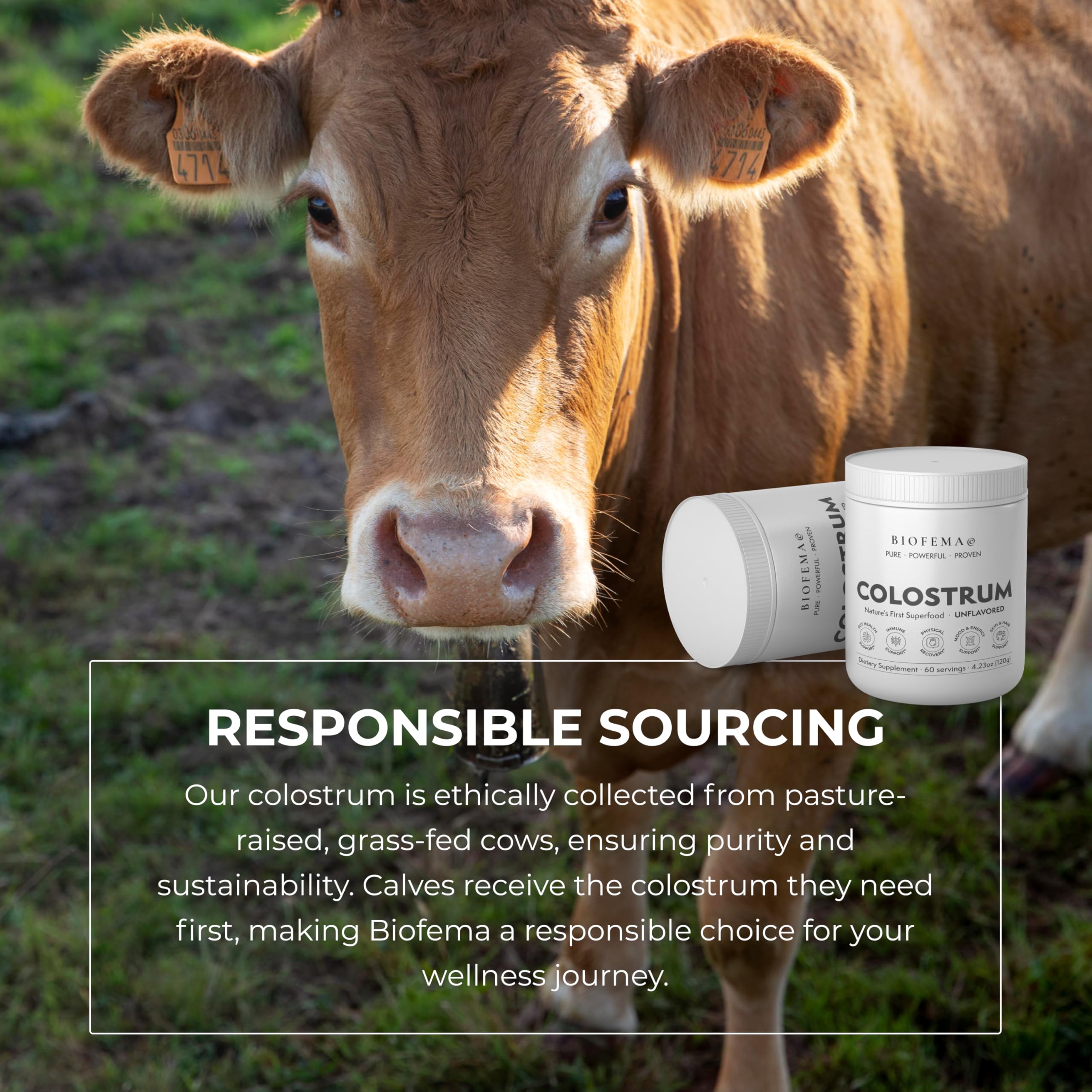 BIOFEMA Colostrum Powder 168g with grass-fed cows