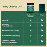 Biogenesis Chlorella tablets displayed with fresh greens