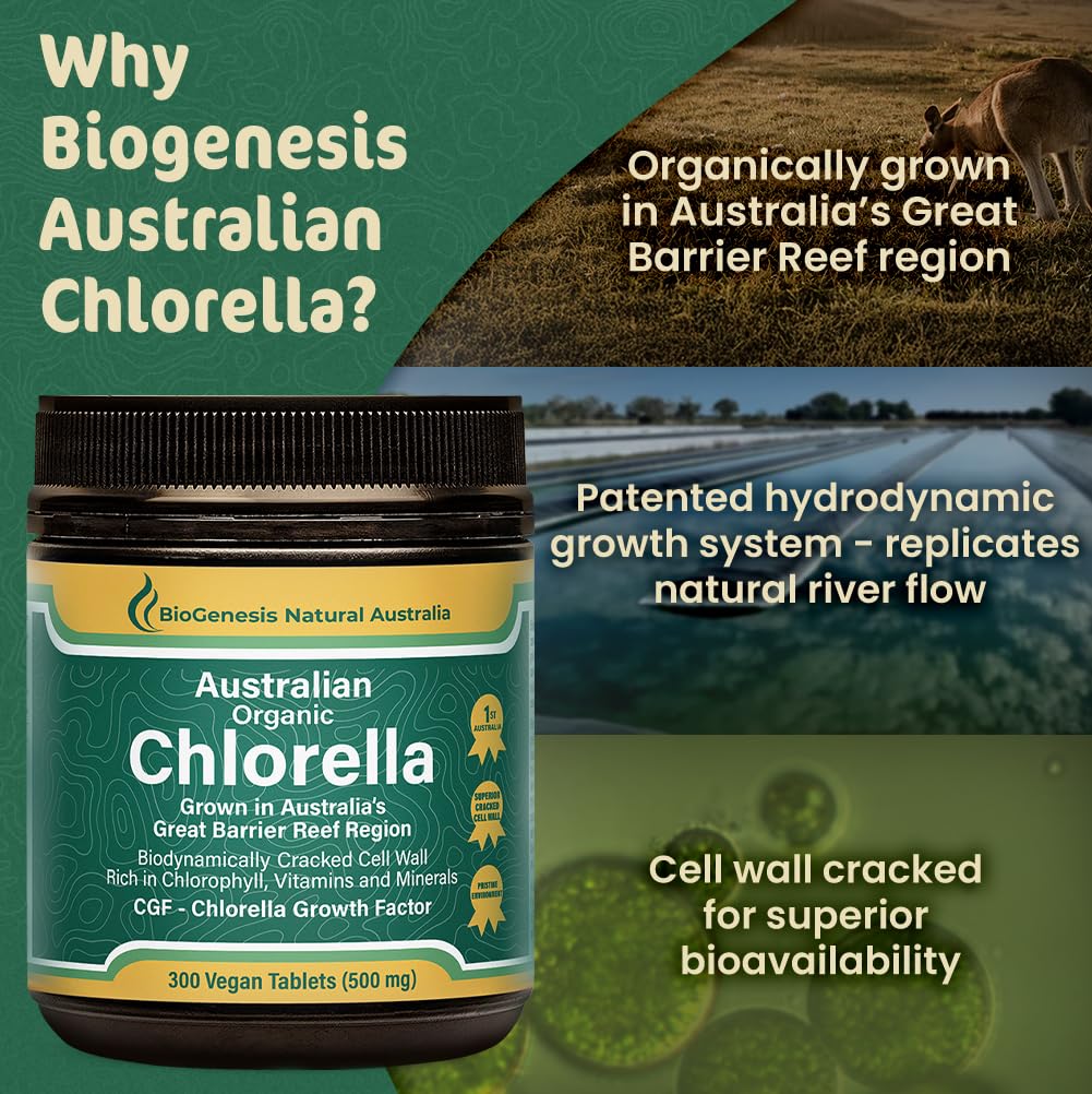 Biogenesis Chlorella Tablets in hand for scale