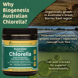 Biogenesis Chlorella Tablets in hand for scale