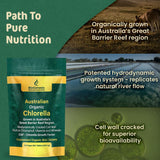 Biogenesis Chlorella Tablets on a wooden table