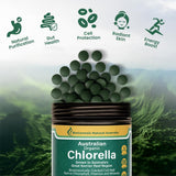 Biogenesis Chlorella Tablets showing tablet size