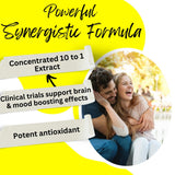 BioImmune Lion's Mane Mushroom Supplement 10X Potency capsule close-up