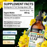 BioKrauter Mullein Leaf Extract Tincture with water for dosage