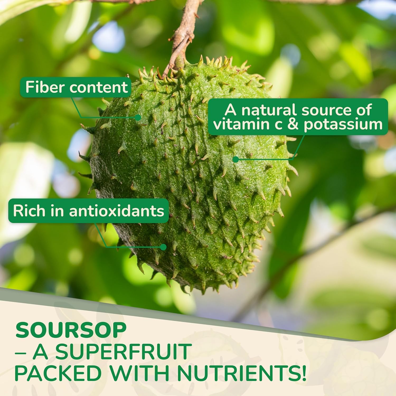 Biolore Soursop Gummies on a wooden table