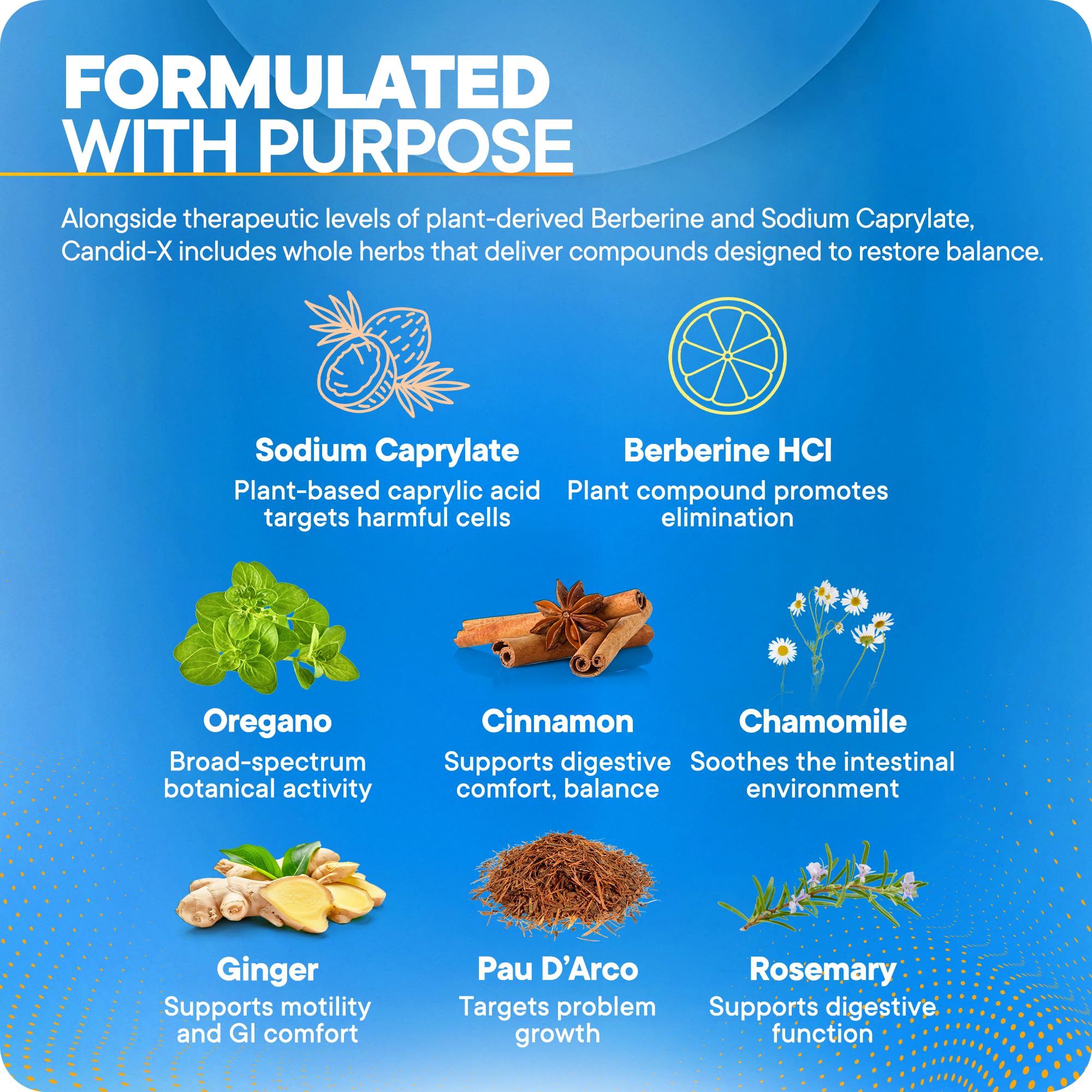 BioMatrix Candid-X Oregano Supplement capsule close-up