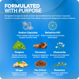 BioMatrix Candid-X Oregano Supplement capsule close-up