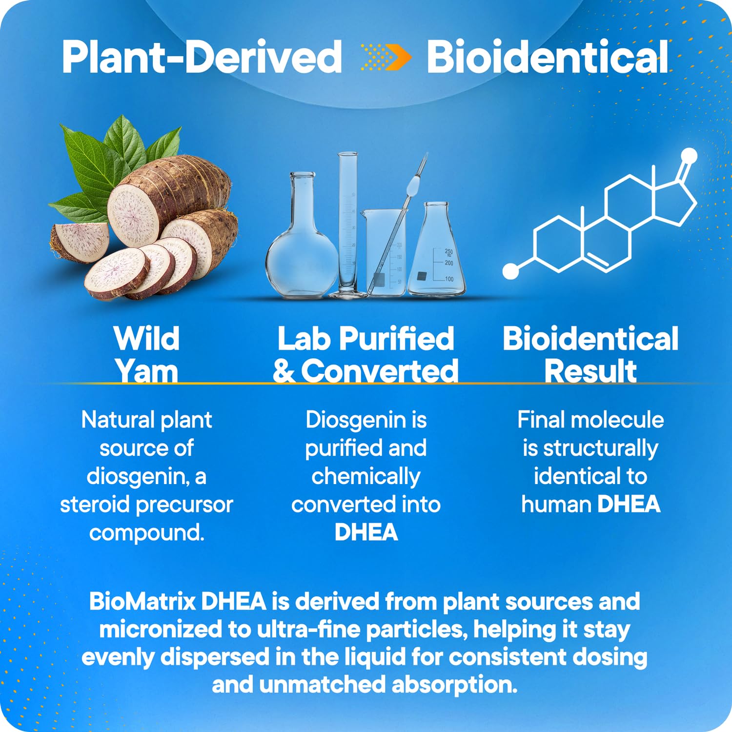 BioMatrix DHEA liquid in a glass