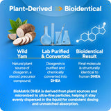 BioMatrix DHEA liquid in a glass