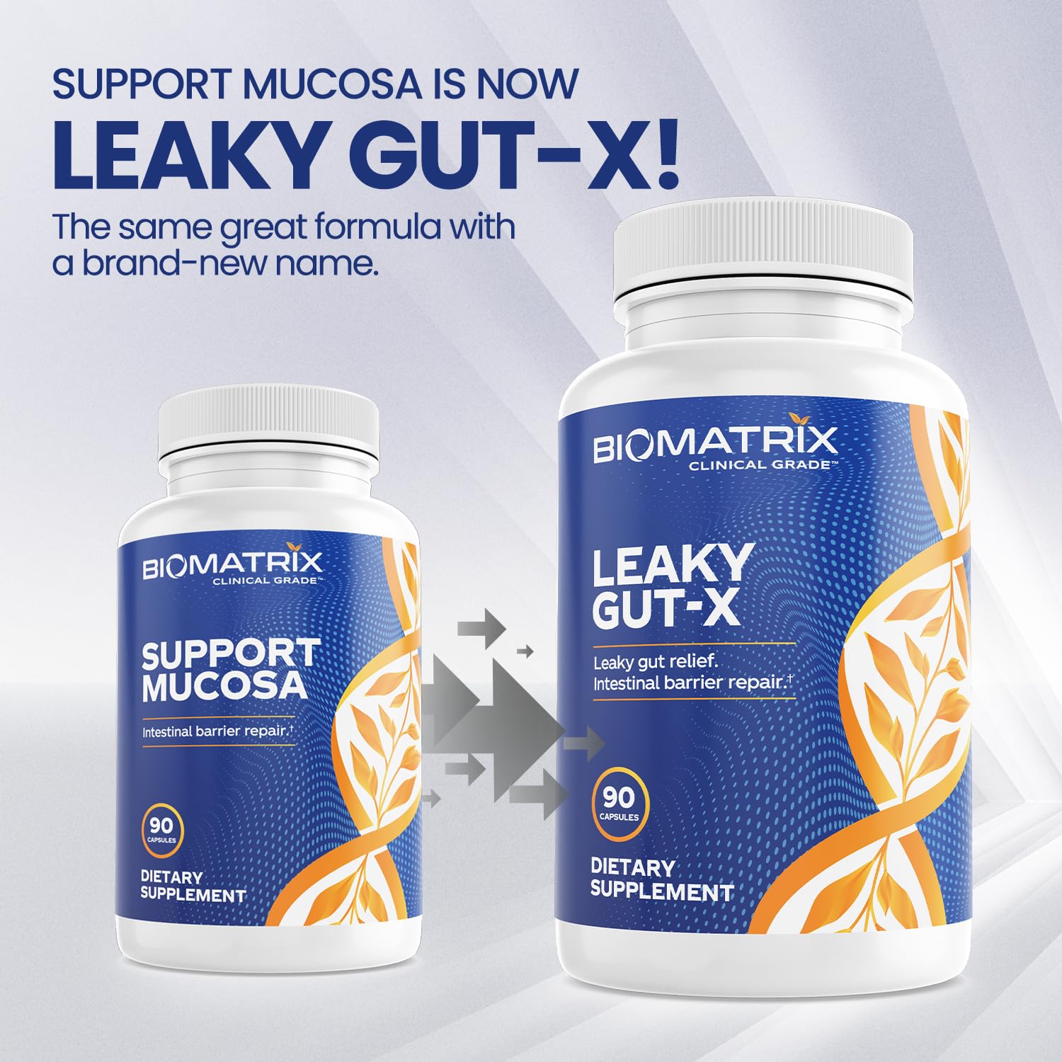BioMatrix Leaky Gut-X supplement back view with ingredient list