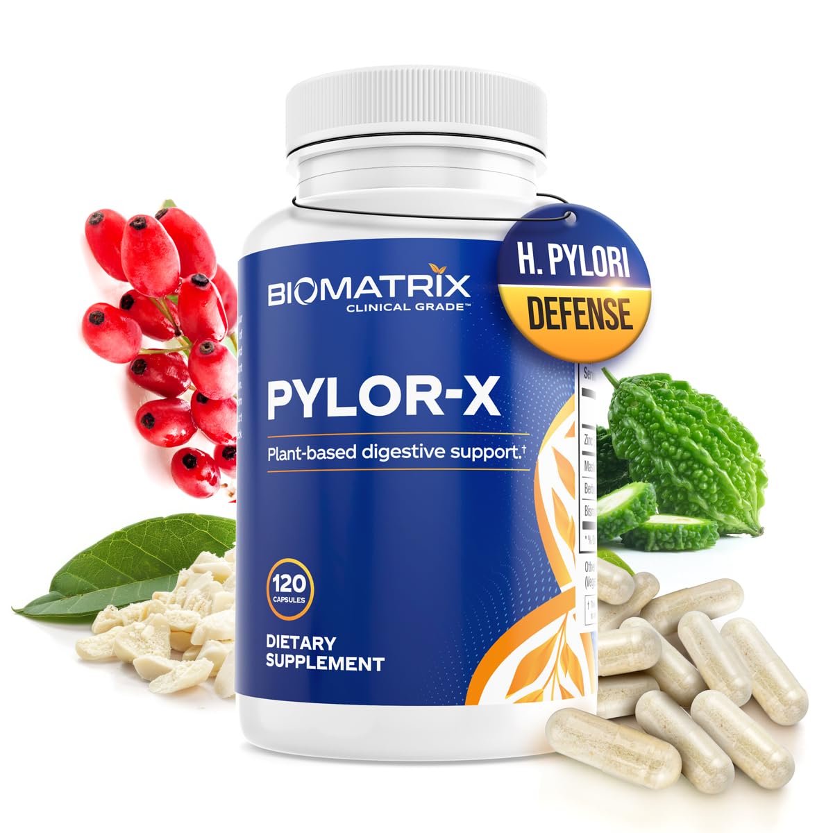 BioMatrix Pylor-X blended vitamin and mineral supplement front view