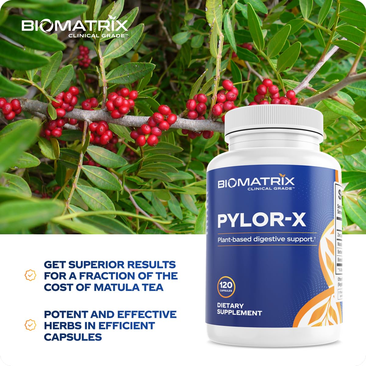 BioMatrix Pylor-X bottle on a wooden table
