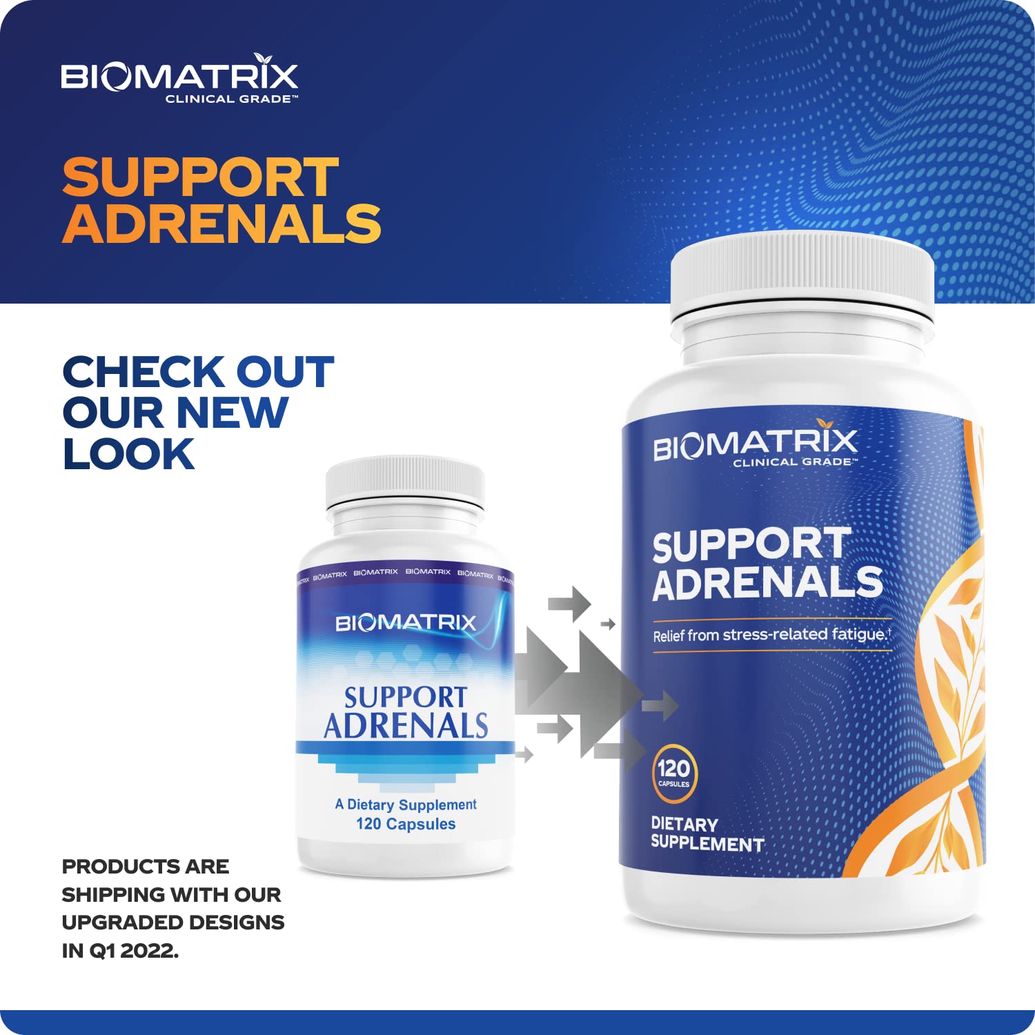 BioMatrix Support Adrenals B-Complex 132g supplement packaging