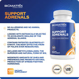 BioMatrix Support Adrenals B-Complex 132g supplement top view