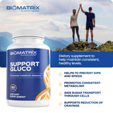BioMatrix Support Gluco Cinnamon Supplement capsule details