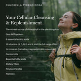 BioPure Chlorella Chewable Tablets with a glass of water