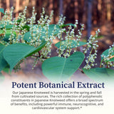 BioPure Echinacea Herbal Tincture with natural background