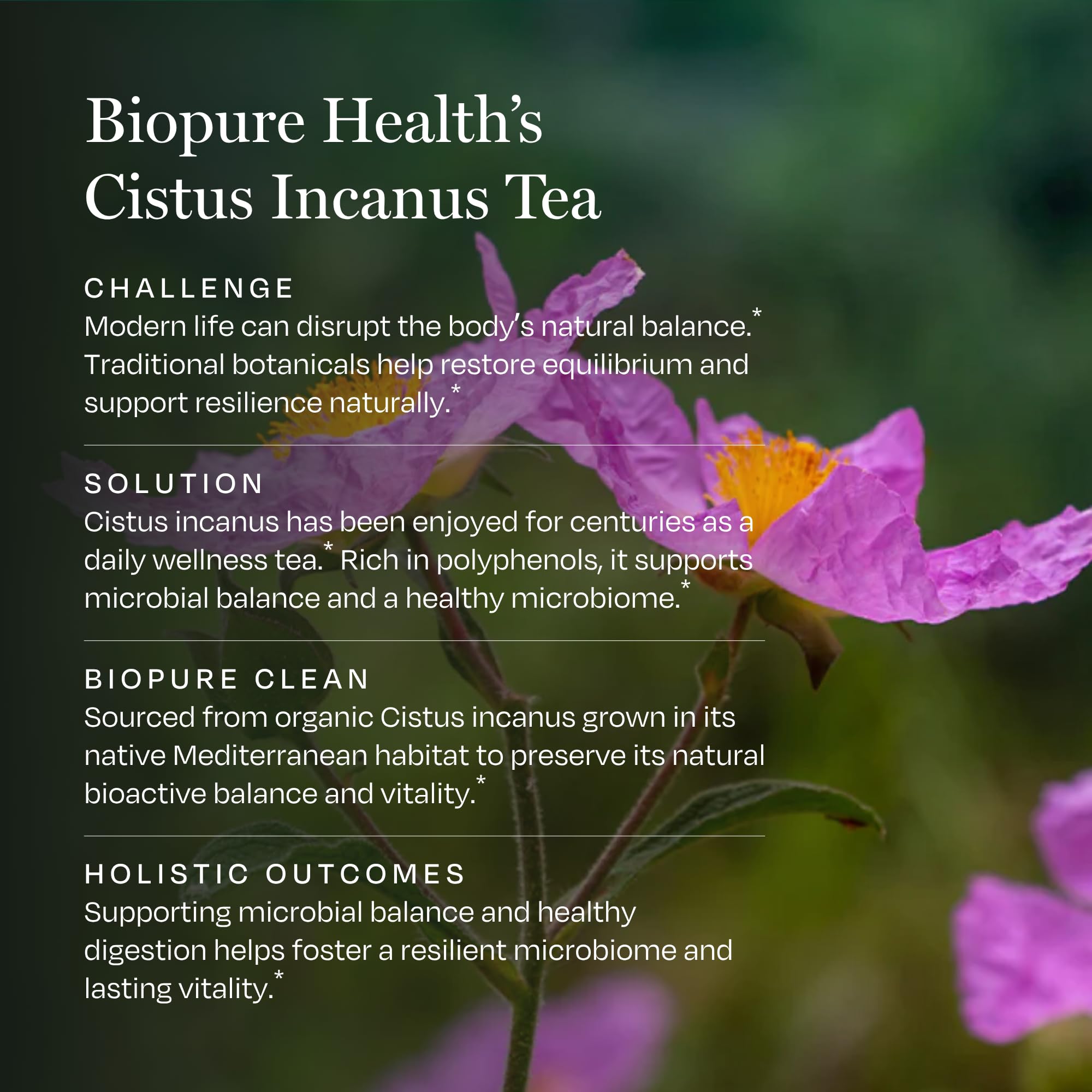 BioPure Green Tea Herbal Supplement 100g top view