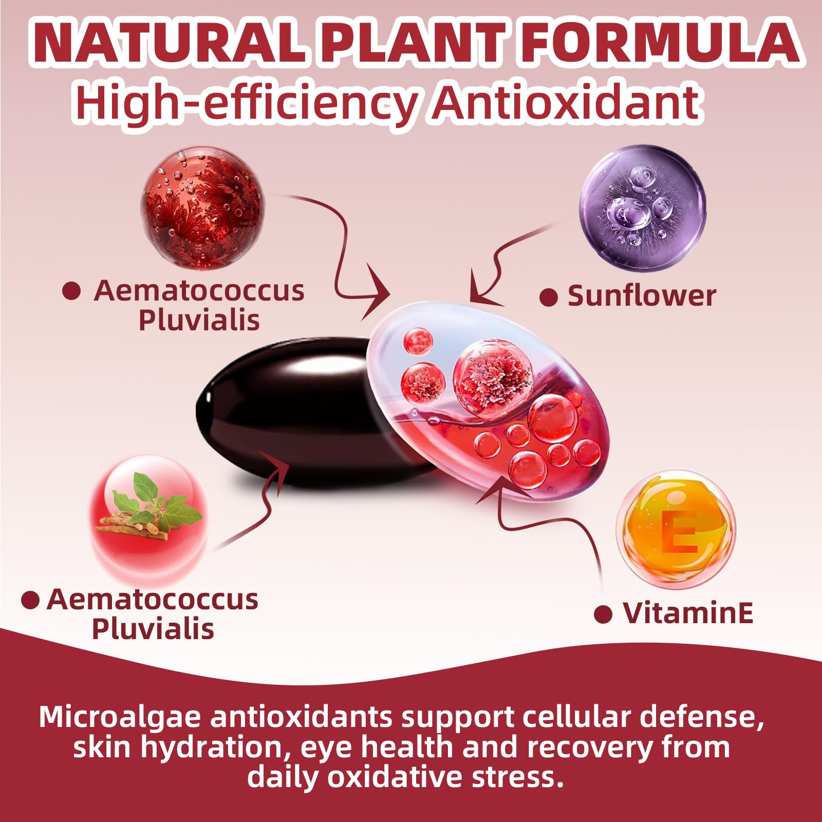 Biorizvo Astaxanthin 12mg nutritional information